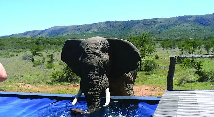 Pumba Private Game Reserve Port Elizabeth 0*,  South Africa